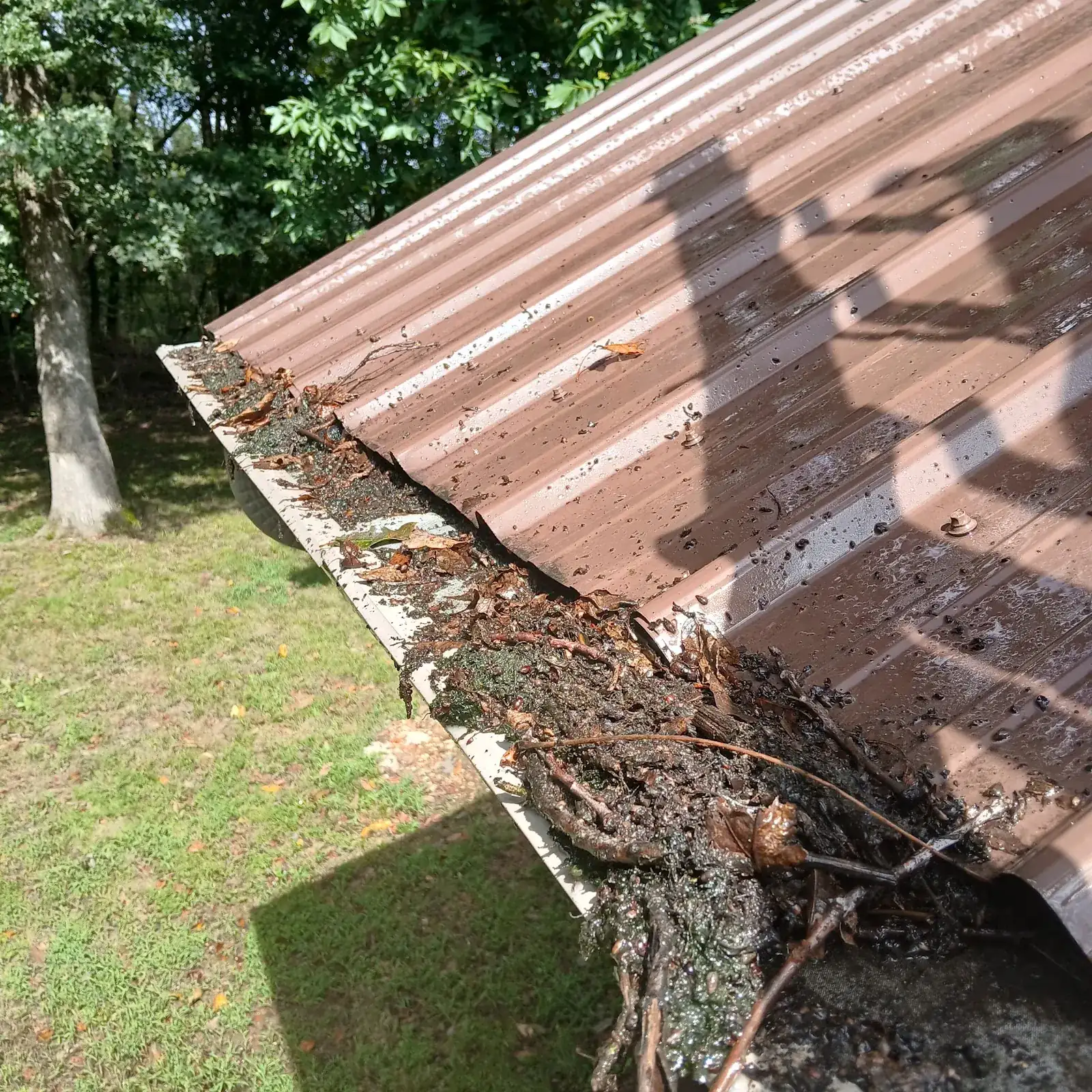 Leaves packed in a metal-roof gutter