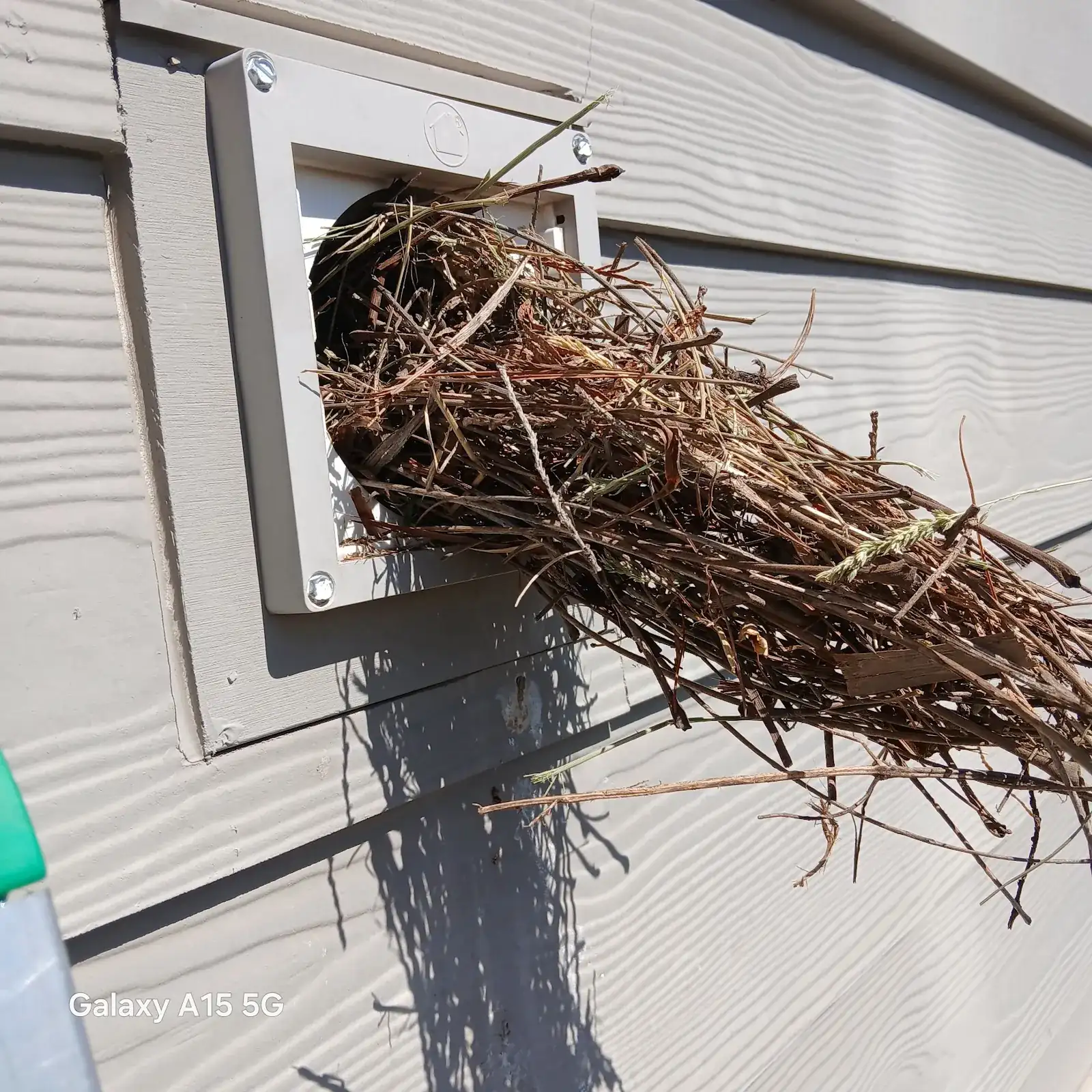 A large bird nest removed from a gutter