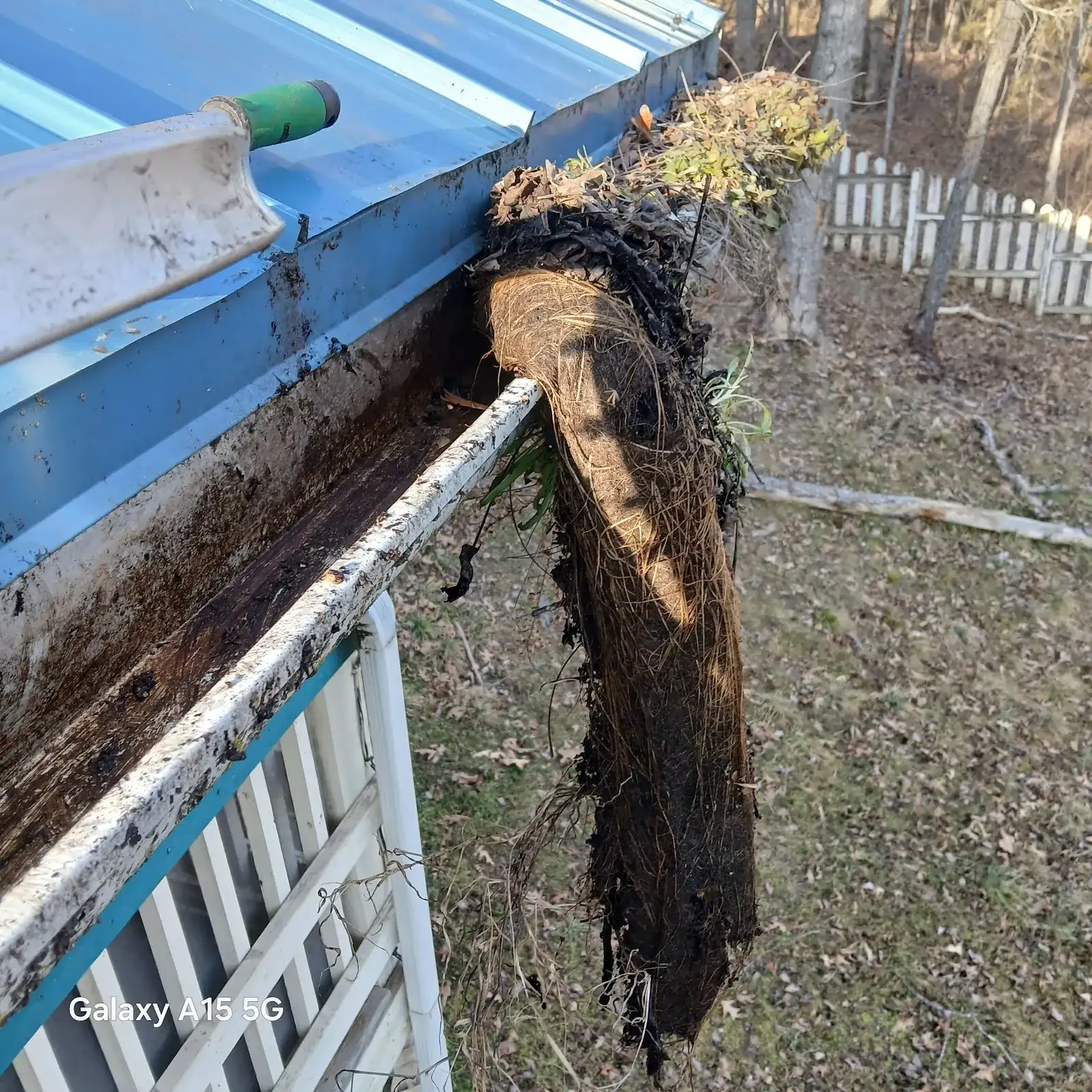 Heavy gutter sludge removed by hand