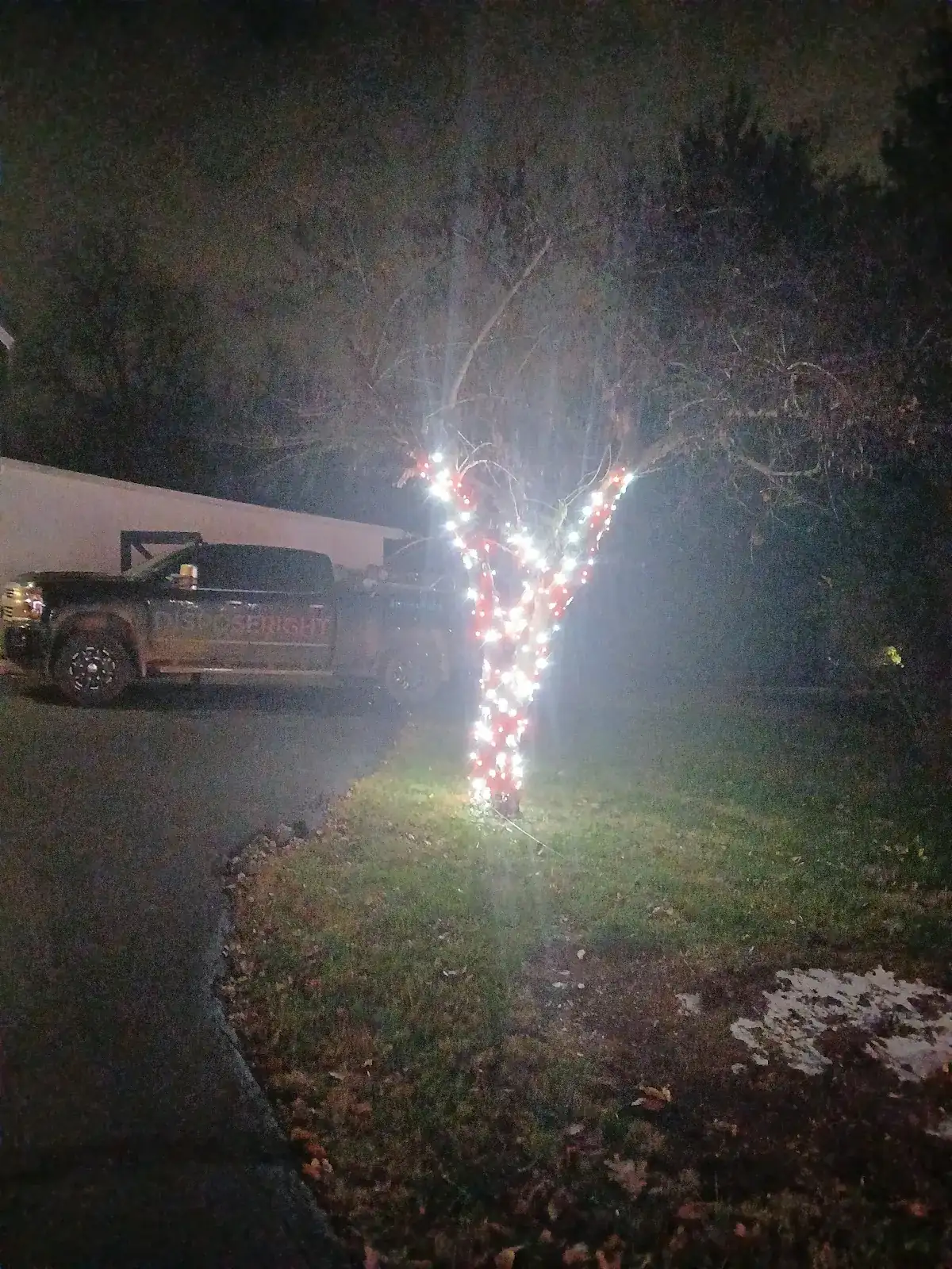 A tree wrapped in bright Christmas lights
