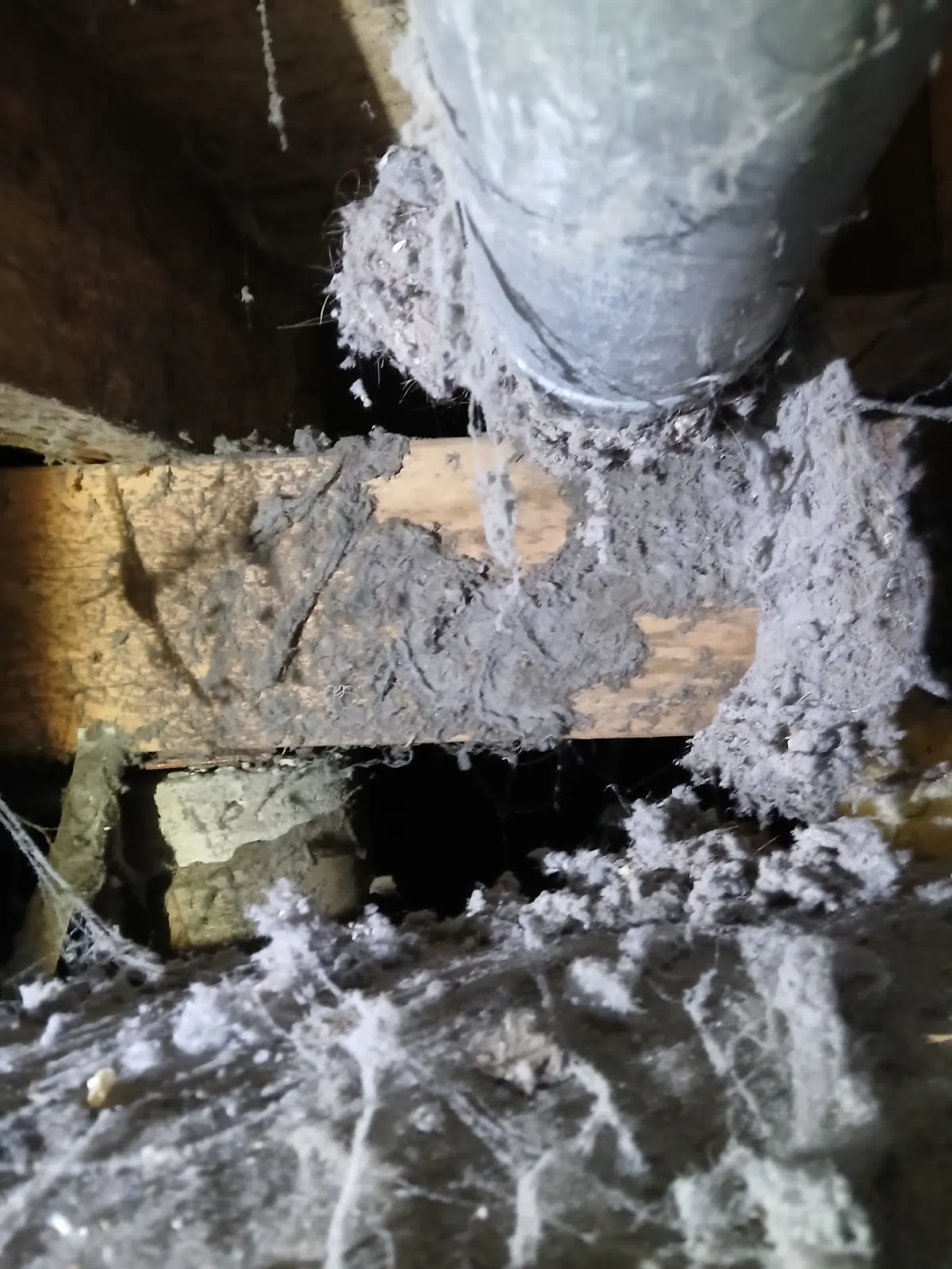A large amount of dryer lint removed from a vent
