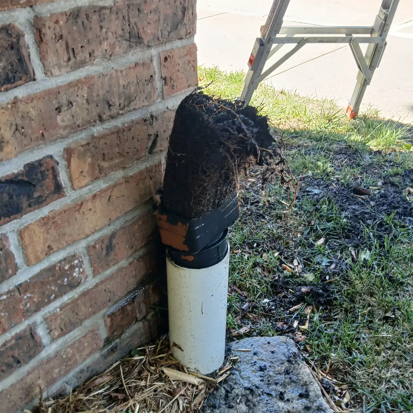Dense lint buildup removed from a dryer vent