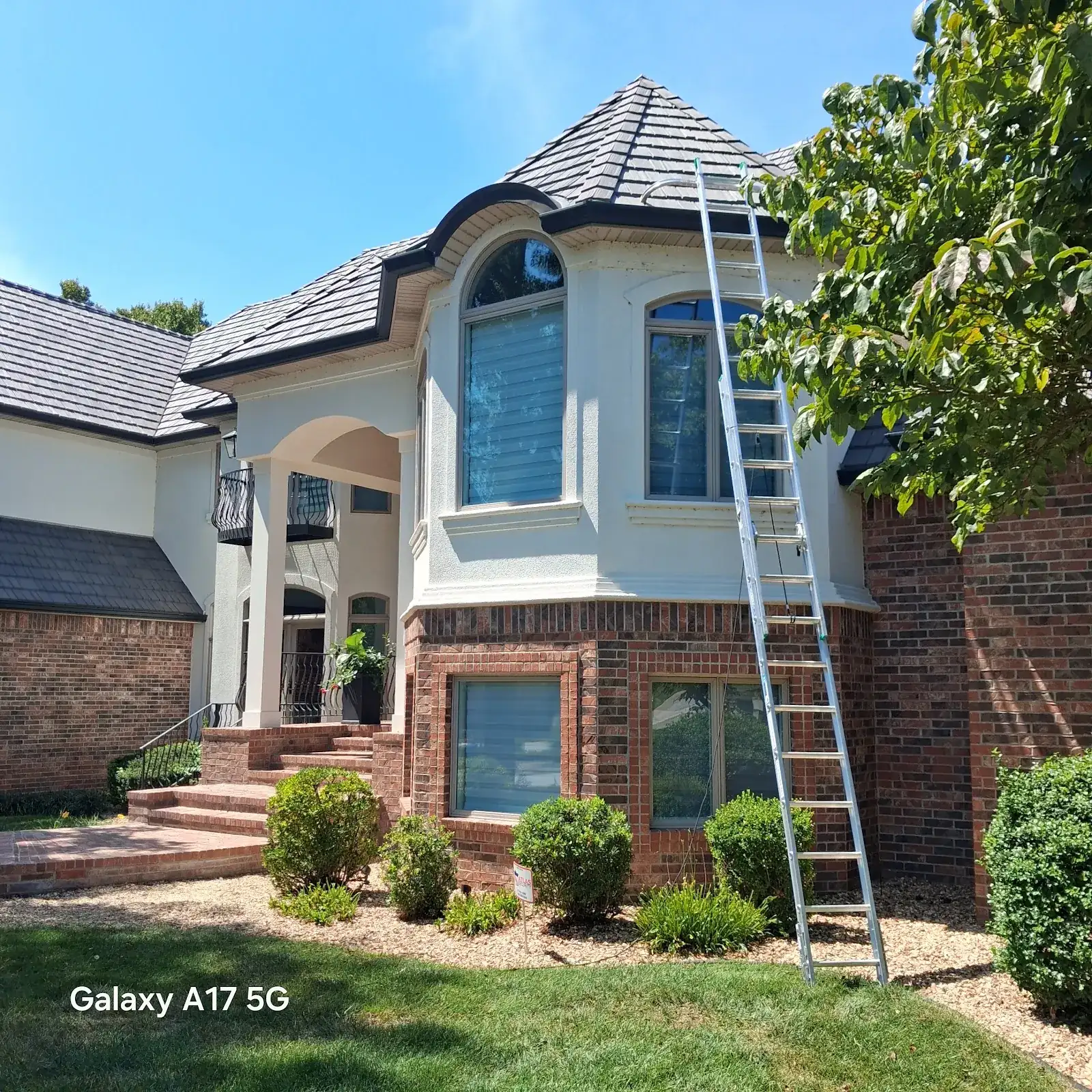 Reliable Pro soft washing a large Springfield home